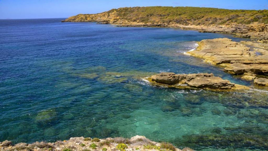 Juniperus Porto Pino